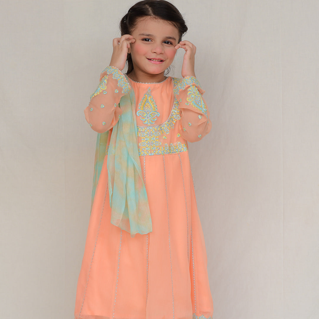 Anarkali Chiffon Rawsilk Trouser