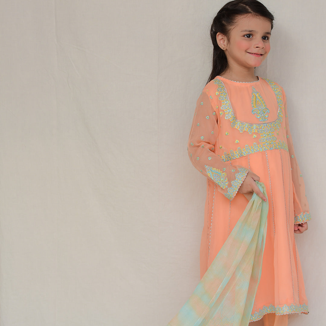 Anarkali Chiffon Rawsilk Trouser