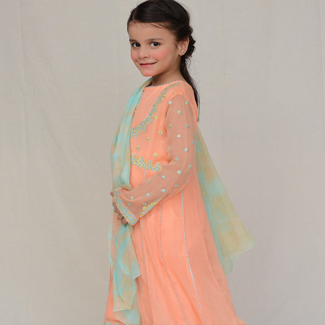 Anarkali Chiffon Rawsilk Trouser