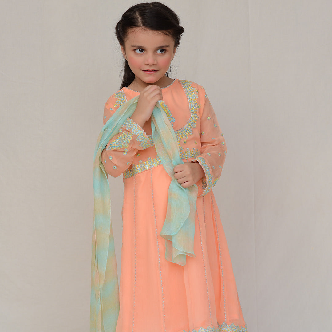 Anarkali Chiffon Rawsilk Trouser