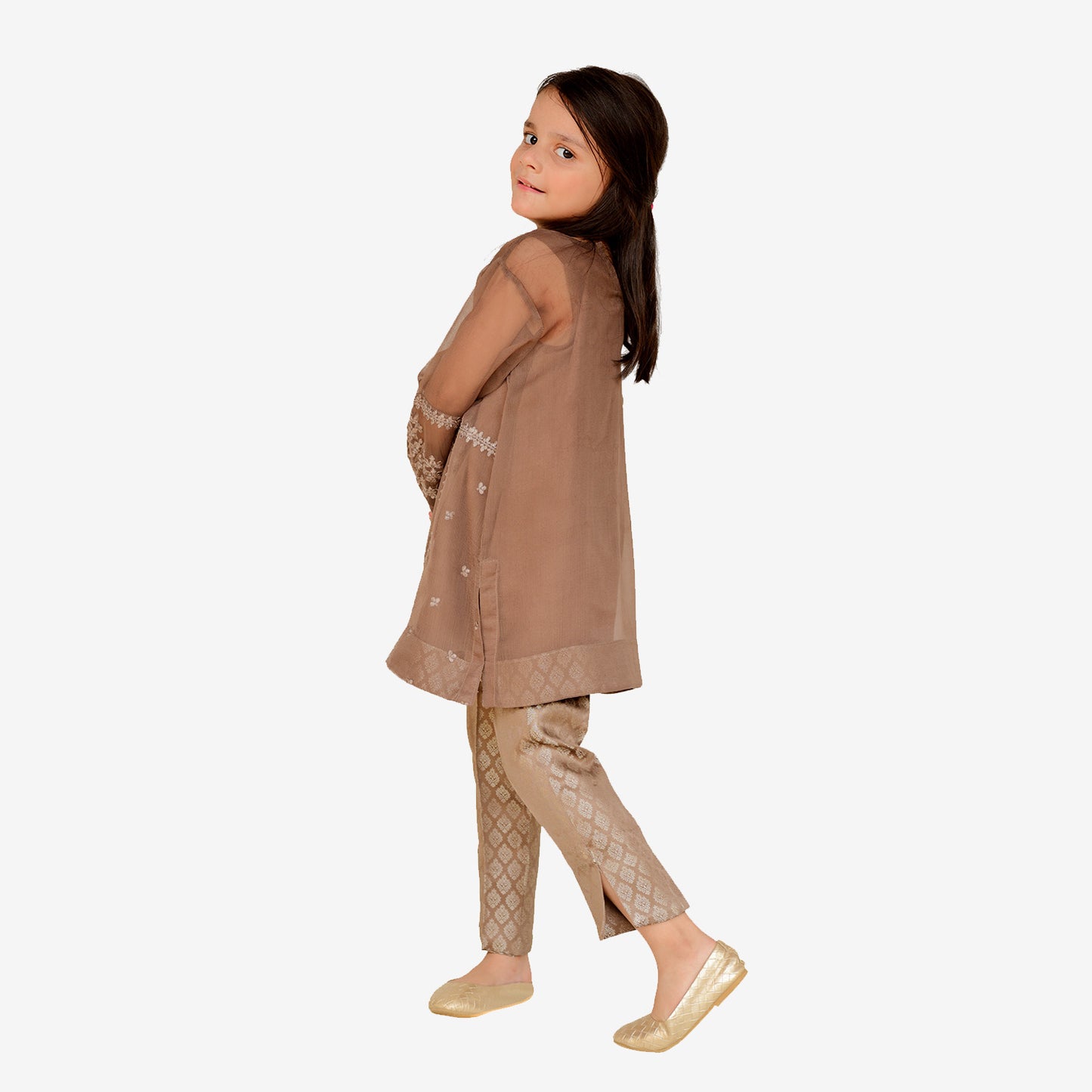 Embroidered Brown chiffon shirt with screen printed dopatta