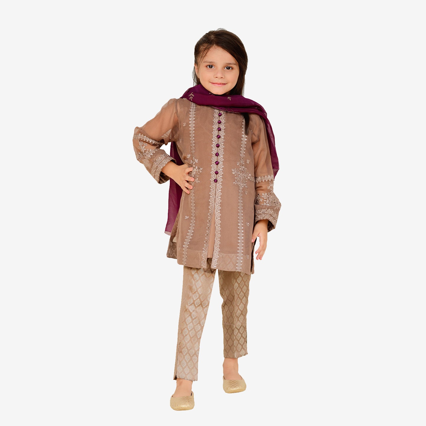 Embroidered Brown chiffon shirt with screen printed dopatta