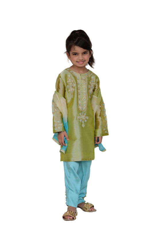 Lamë Embroidered (FFG-052)