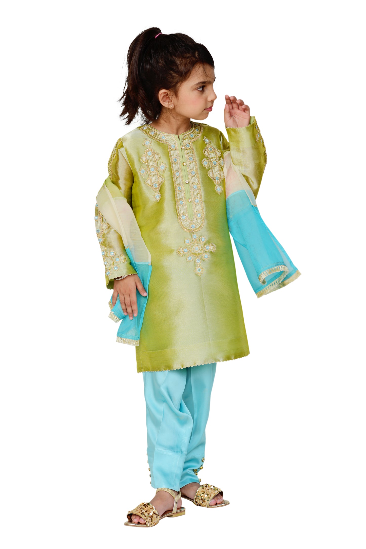 Lame' Shirt embroidered with dori work