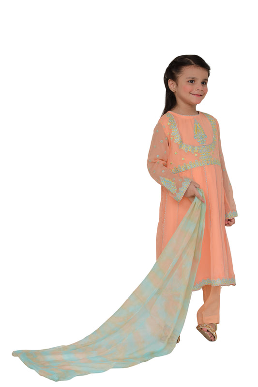 Anarkali Chiffon (FFG-028)