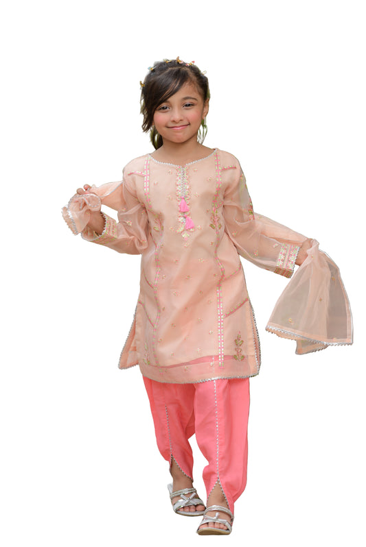 Organza-peach (FFG-034)