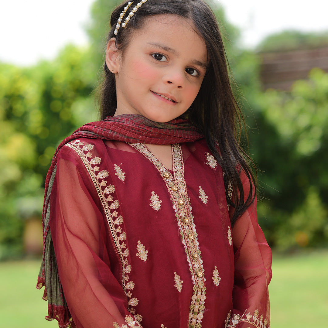 Mehroon Organza Shirt Embriodred & Duppata Tie & Die