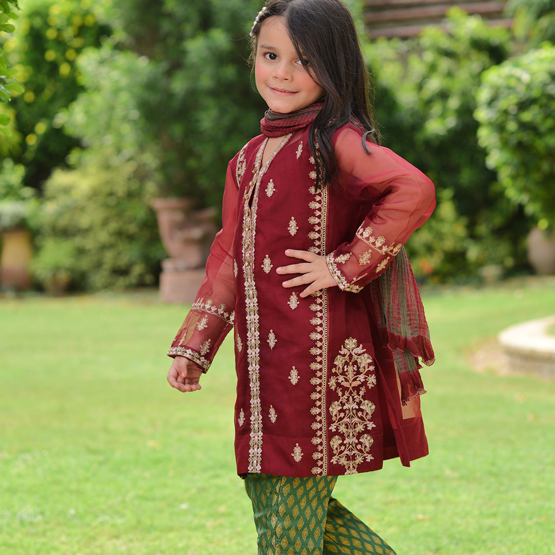 Mehroon Organza Shirt Embriodred & Duppata Tie & Die