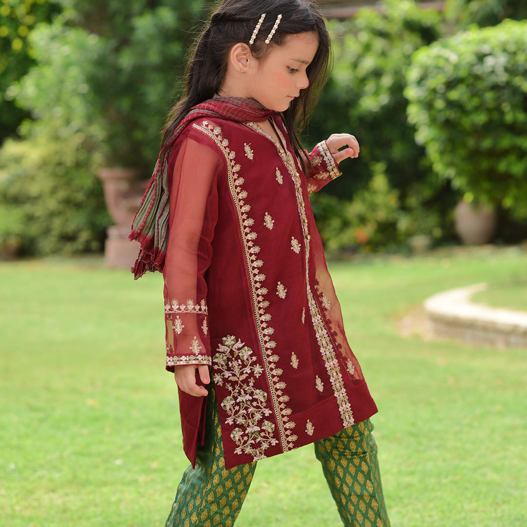 Mehroon Organza Shirt Embriodred & Duppata Tie & Die