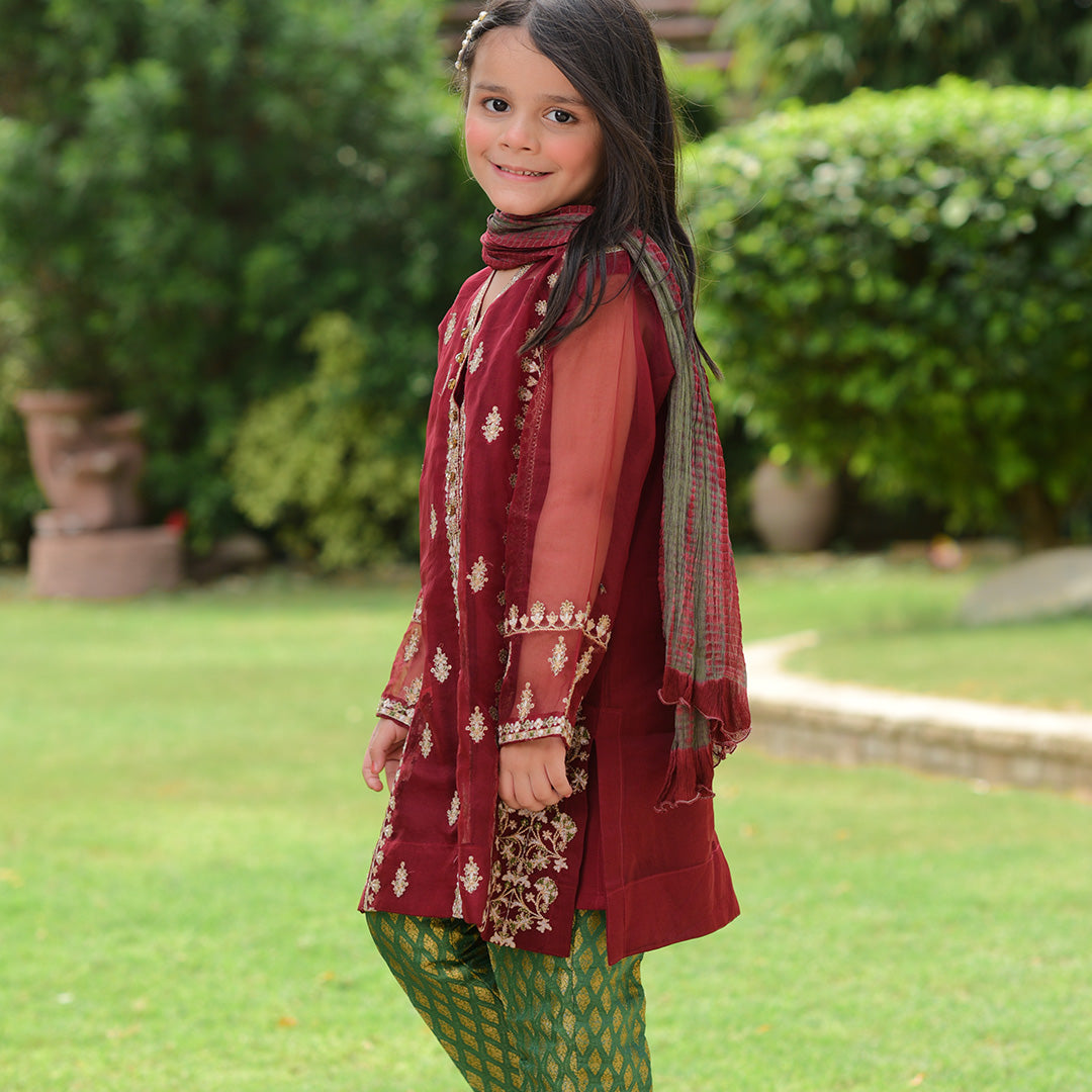 Mehroon Organza Shirt Embriodred & Duppata Tie & Die