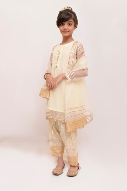 A-line shirt with pleats (FFG-019)
