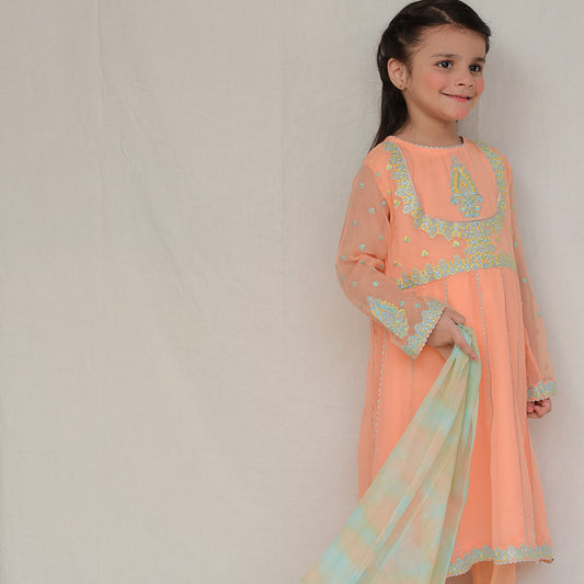 Anarkali Chiffon Rawsilk Trouser