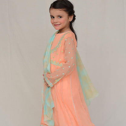 Anarkali Chiffon (FFG-028)