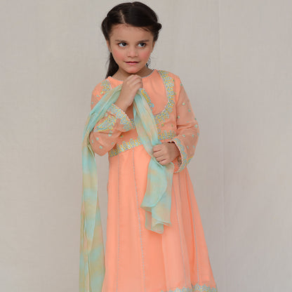 Anarkali Chiffon (FFG-028)