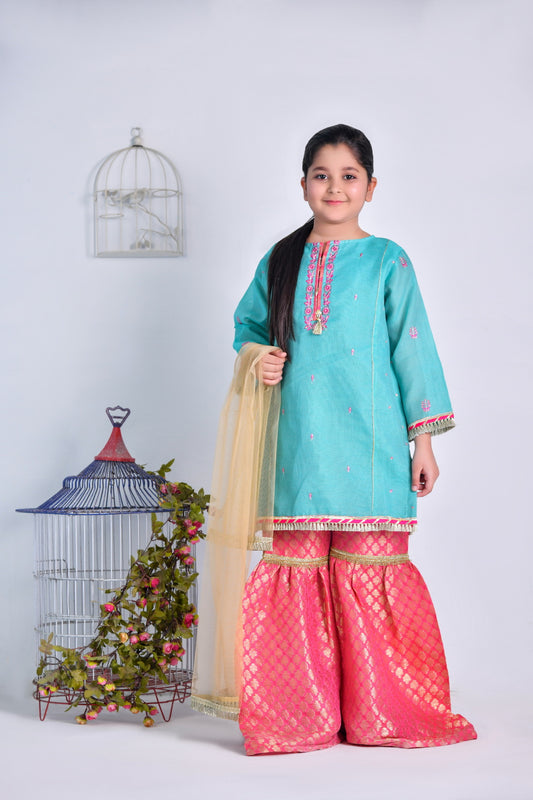 Chiffon Embroidered Anarkali Lehenga (FFG-032)