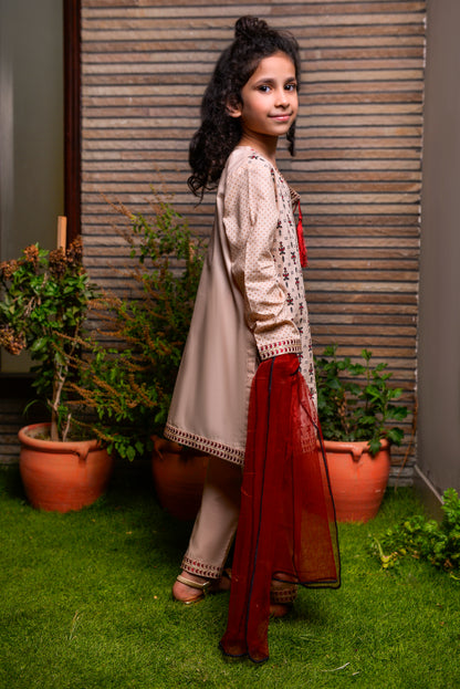 Dyed coton Block Printed (FFG-038)