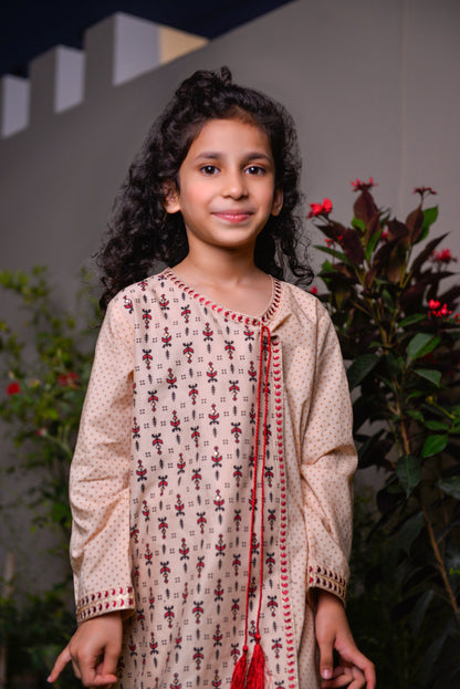 Dyed coton Block Printed (FFG-038)