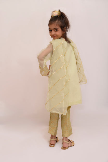 Vanilla Organza  (FFG-012)