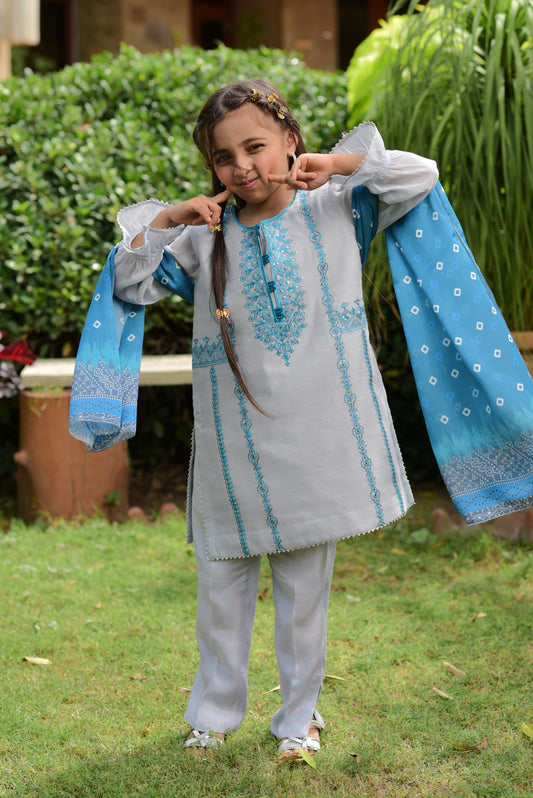 Khaddi Net Silk Fusion (FFG-048)