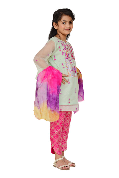 Ice Green Organza (FFG-036)