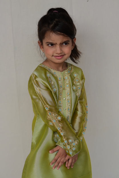 Lamë Embroidered (FFG-052)