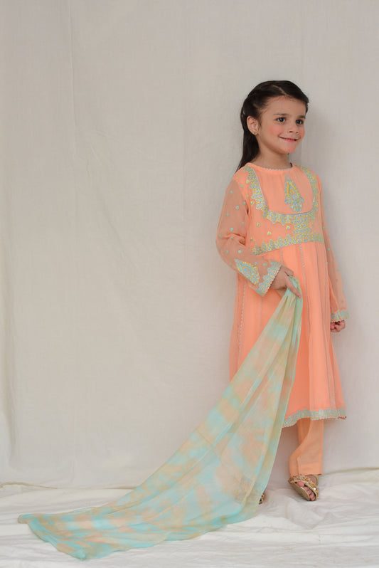 Anarkali Chiffon (FFG-028)