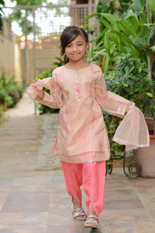 Organza-peach (FFG-034)