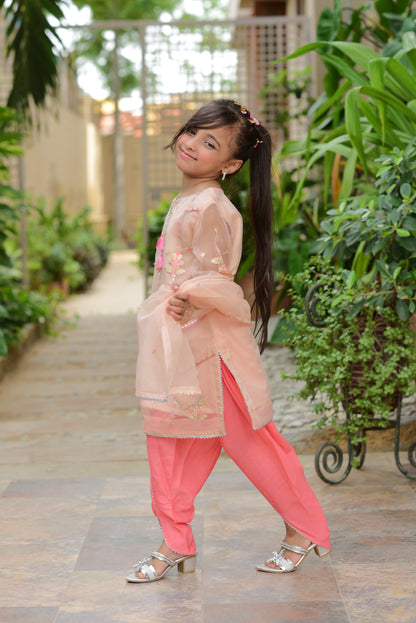 Organza-peach (FFG-034)