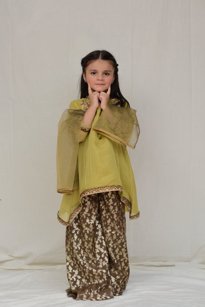 Husk Orangy Yellow (FFG-017)