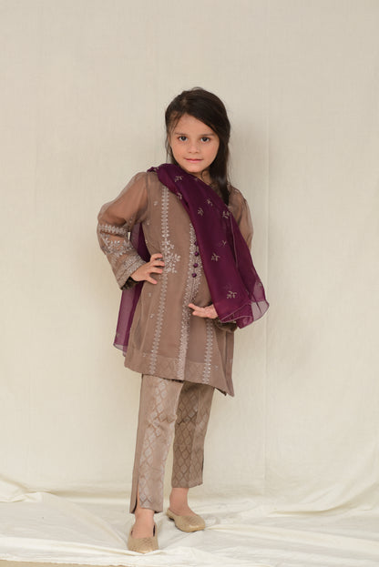 Brown Emb. (FFG-040)