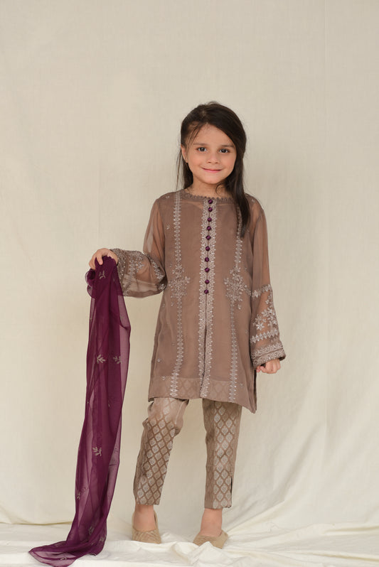 Terracotta Chiffon (FFG-040)