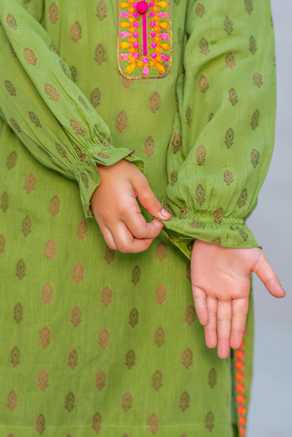 Olive Green  (FSFG-078)