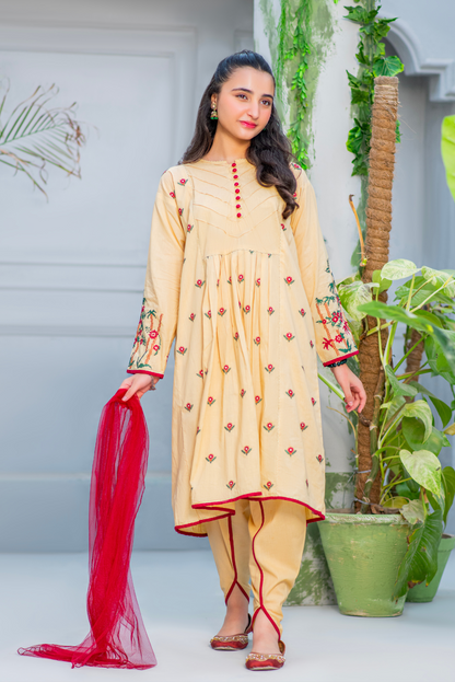 Embroidered Cream (FSFG-065)