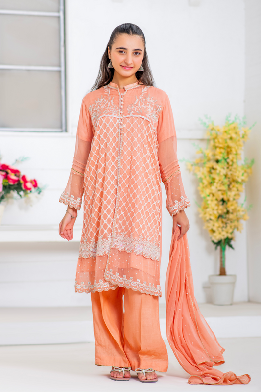 Soft Peach Embroidery. (FFG-062)