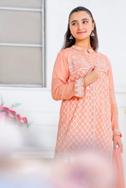 Soft Peach Embroidery. (FFG-062)