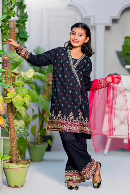 Black Multicolor Embroidered (FSFG-062)