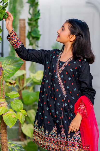 Black Multicolor Embroidered (FSFG-062)