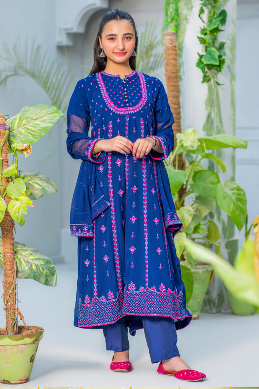 Blue Embroidered. (FFG-060)