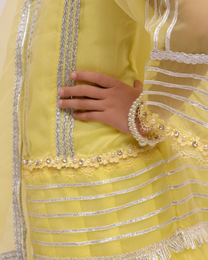 Lemon Organza (FFG-014)