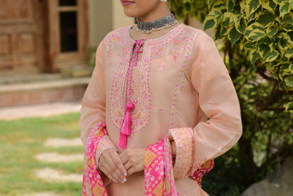 Pinkish Peach  (WFF-007)